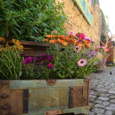 Ξενοδοχείο Mahzen (adults Only) 2*